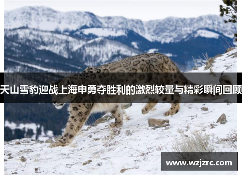 天山雪豹迎战上海申勇夺胜利的激烈较量与精彩瞬间回顾