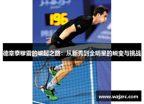 德章泰穆雷的崛起之路：从新秀到全明星的蜕变与挑战