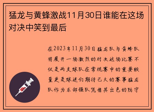 猛龙与黄蜂激战11月30日谁能在这场对决中笑到最后